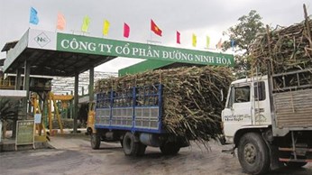 Ninh Hoa Join Stock Company develop to worth Viet Nam leading sugarcane enterprise