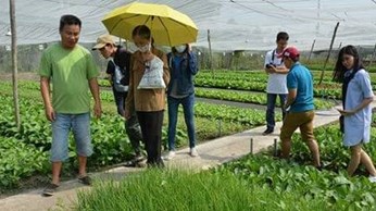 ‘Cơn sốt’ nông nghiệp organic